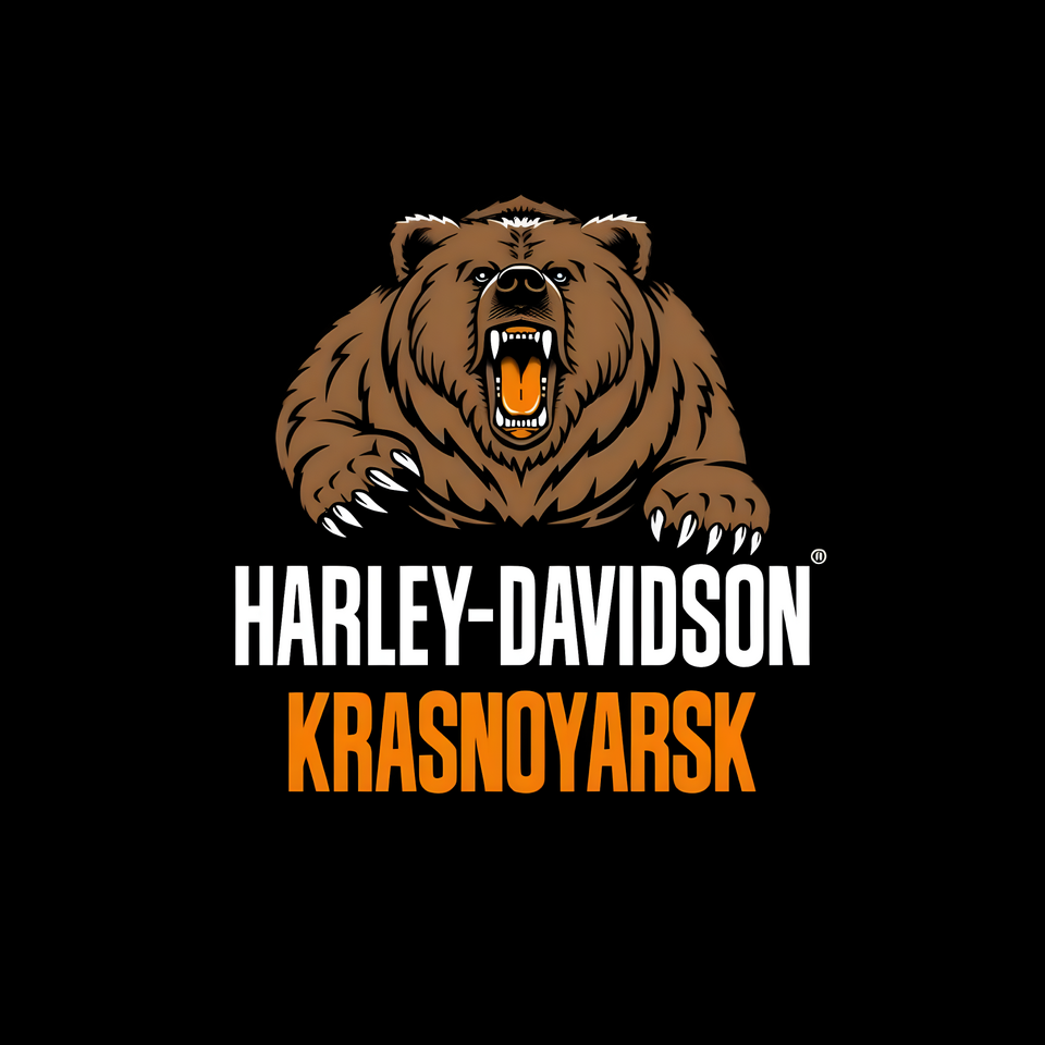 Дилерский центр Harley-Davidson: как одна рекламная кампания обеспечила продажи на годы вперёд