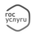 Портал Госуслуги